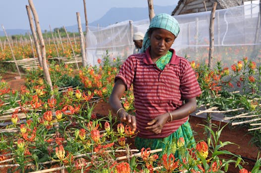 Jak Získat Výhodný Úvěr na Zahradnické Práce: Kompletní Průvodce
